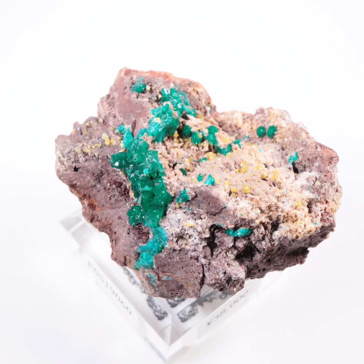 ���󥴻� �������ץơ���