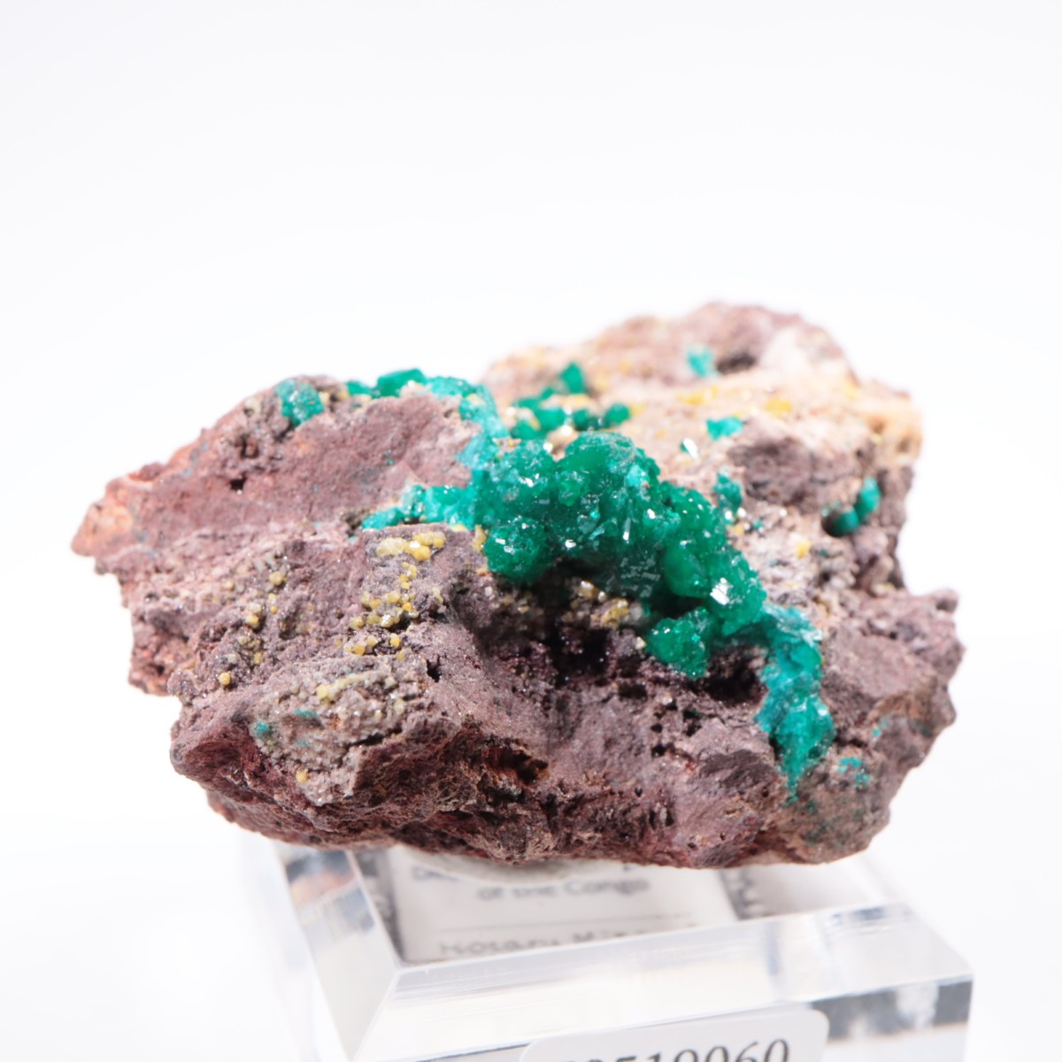 ���󥴻� �������ץơ���