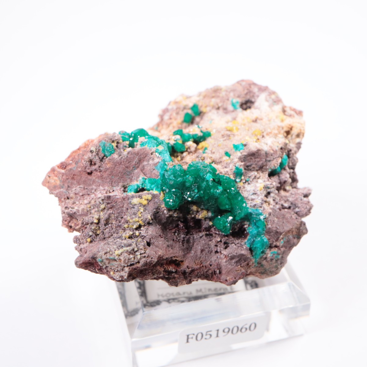 ���󥴻� �������ץơ���