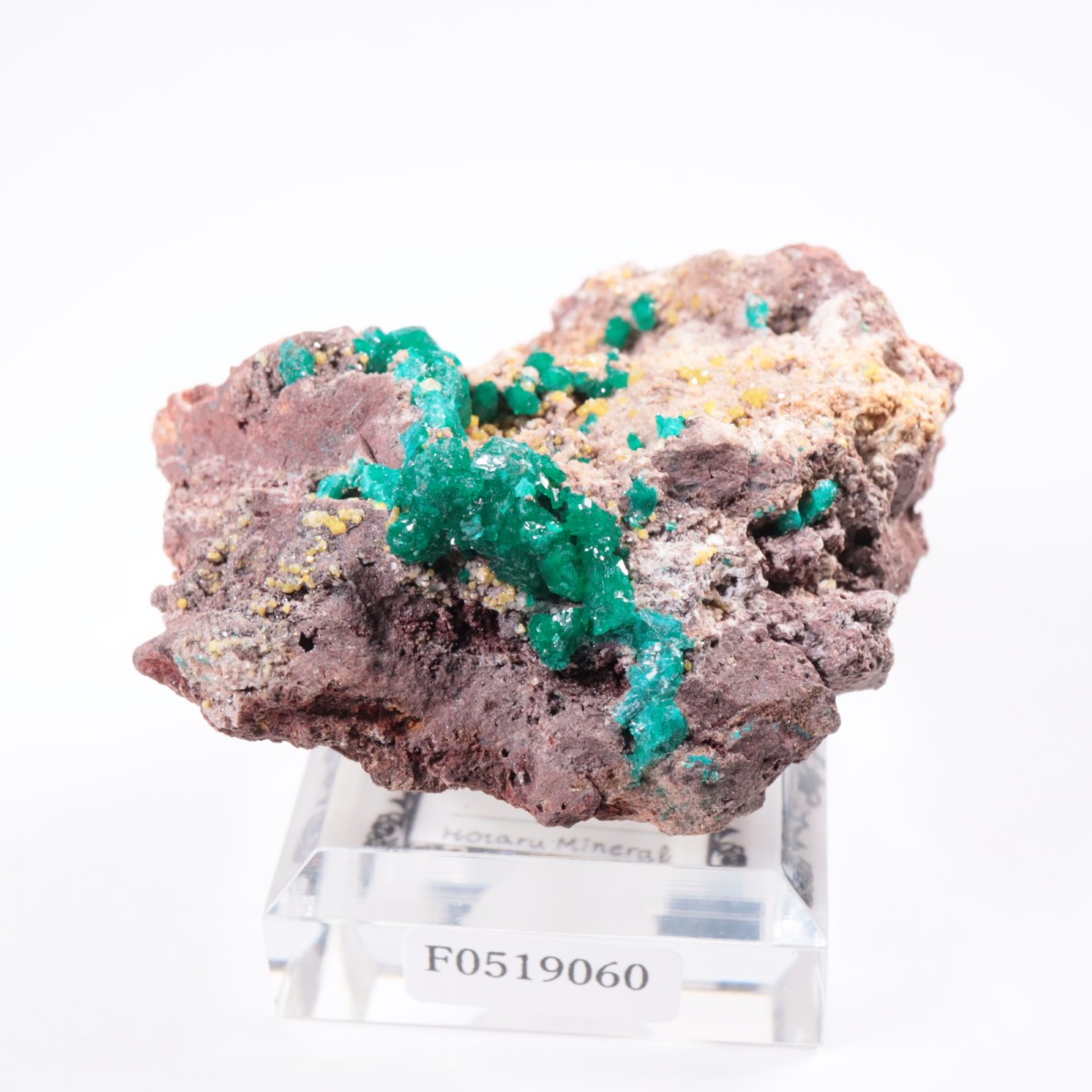 ���󥴻� �������ץơ���