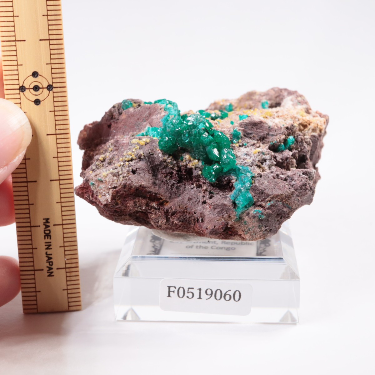 ���󥴻� �������ץơ���