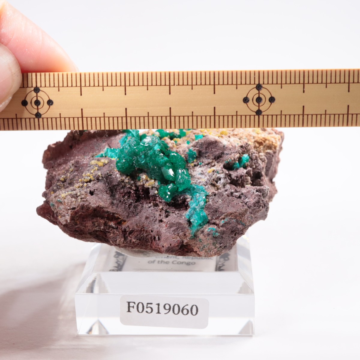 ���󥴻� �������ץơ���