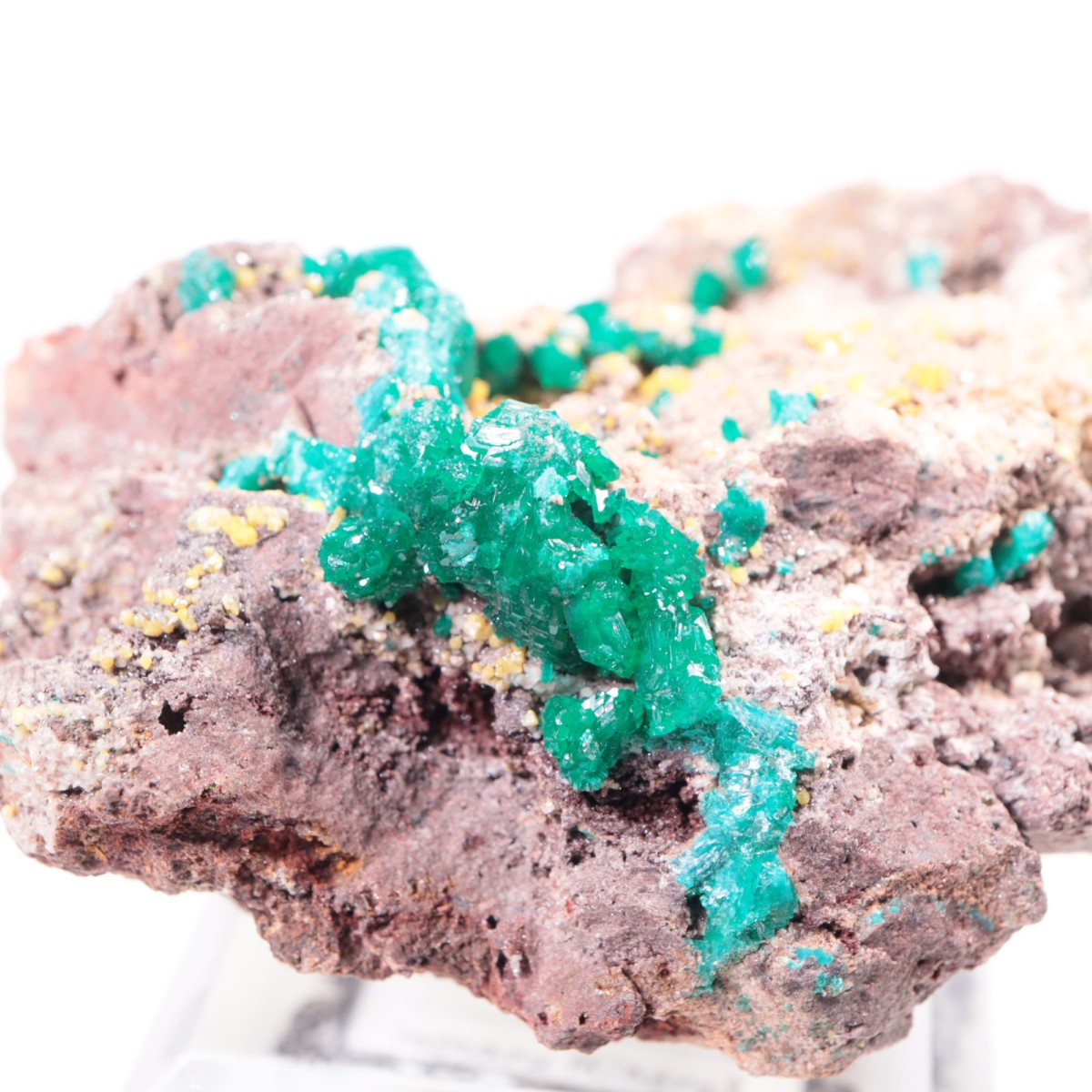 ���󥴻� �������ץơ���