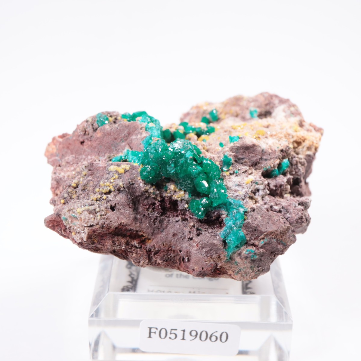 ���󥴻� �������ץơ���