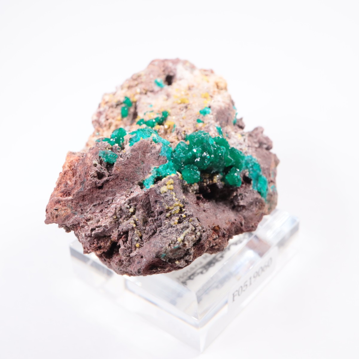 ���󥴻� �������ץơ���