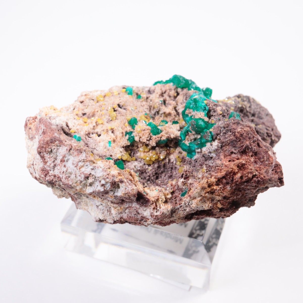 ���󥴻� �������ץơ���