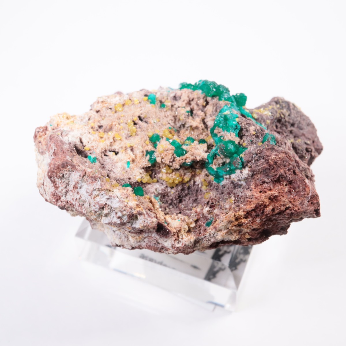 ���󥴻� �������ץơ���