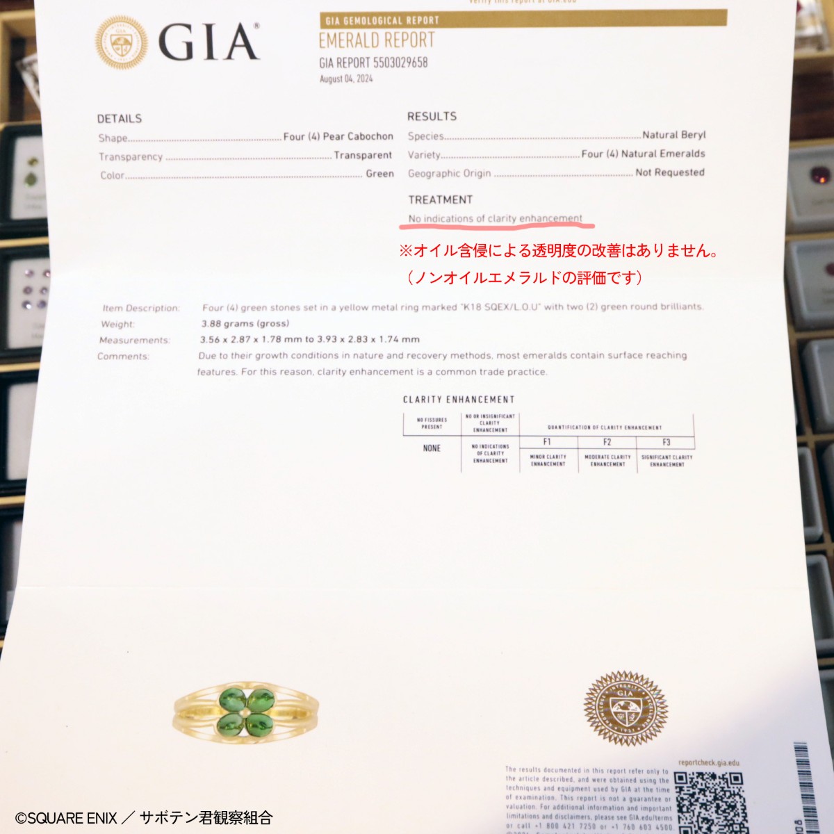 LoMܥ奨꡼ɡGIAΥ󥪥դ
