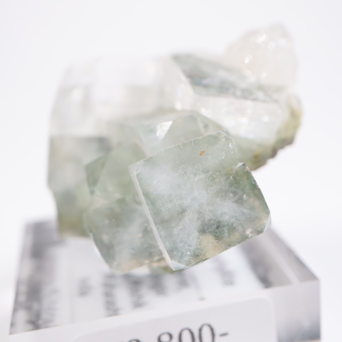 ����ɻ� ���ݥե��饤��