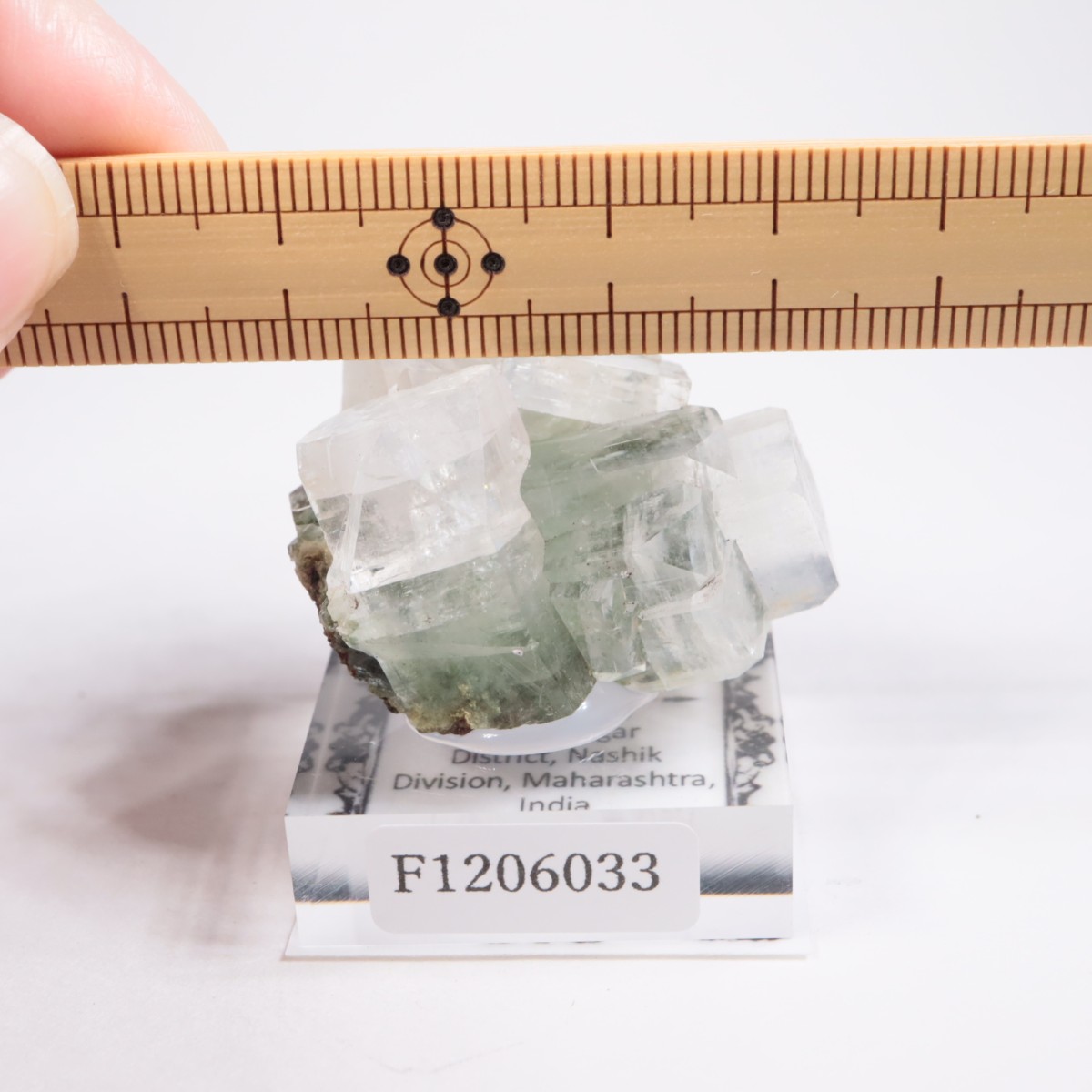 ����ɻ� ���ݥե��饤��