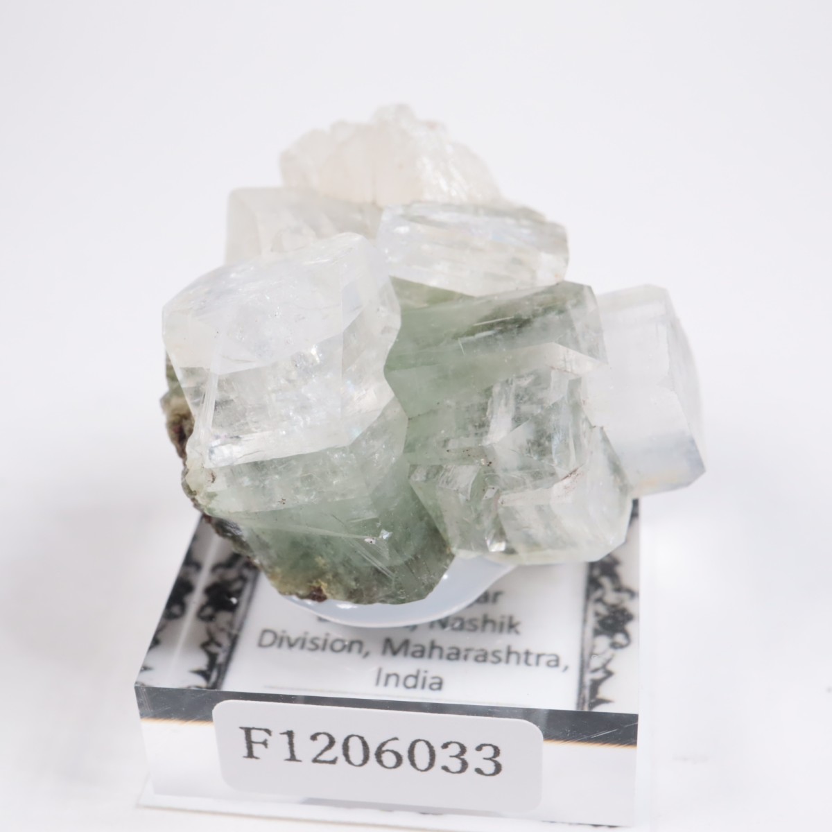 ����ɻ� ���ݥե��饤��