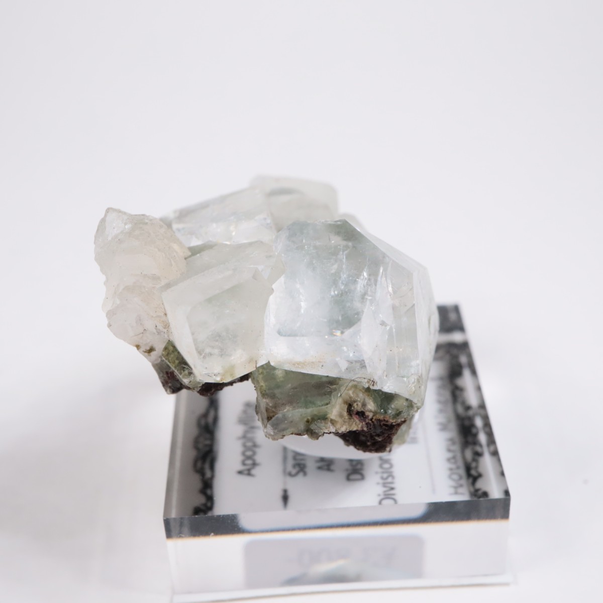 ����ɻ� ���ݥե��饤��