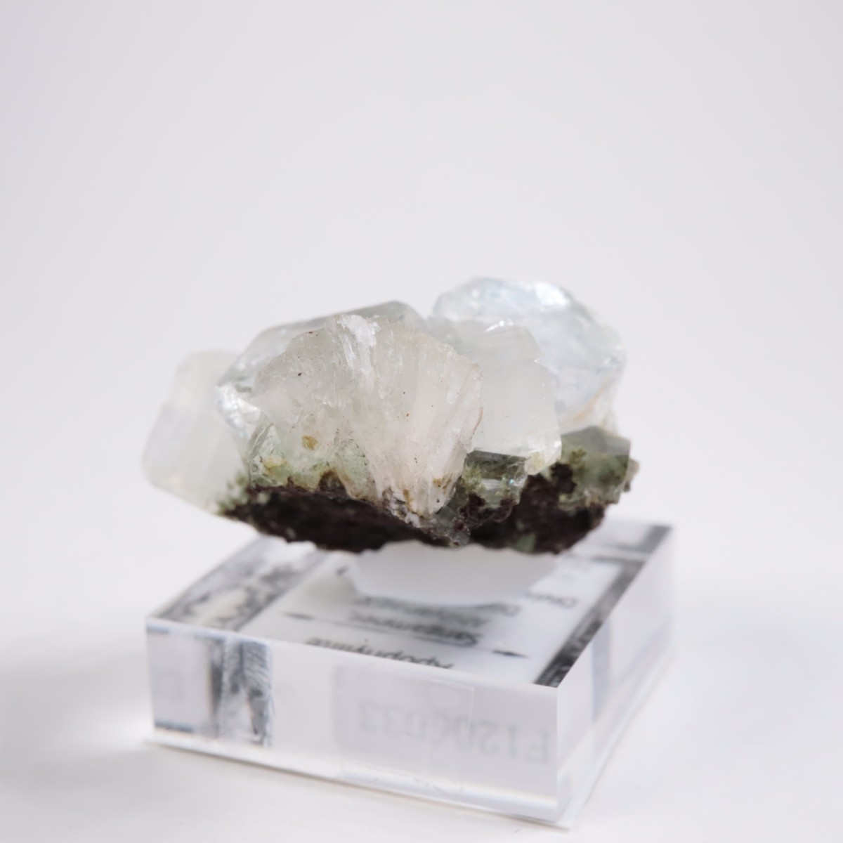 ����ɻ� ���ݥե��饤��