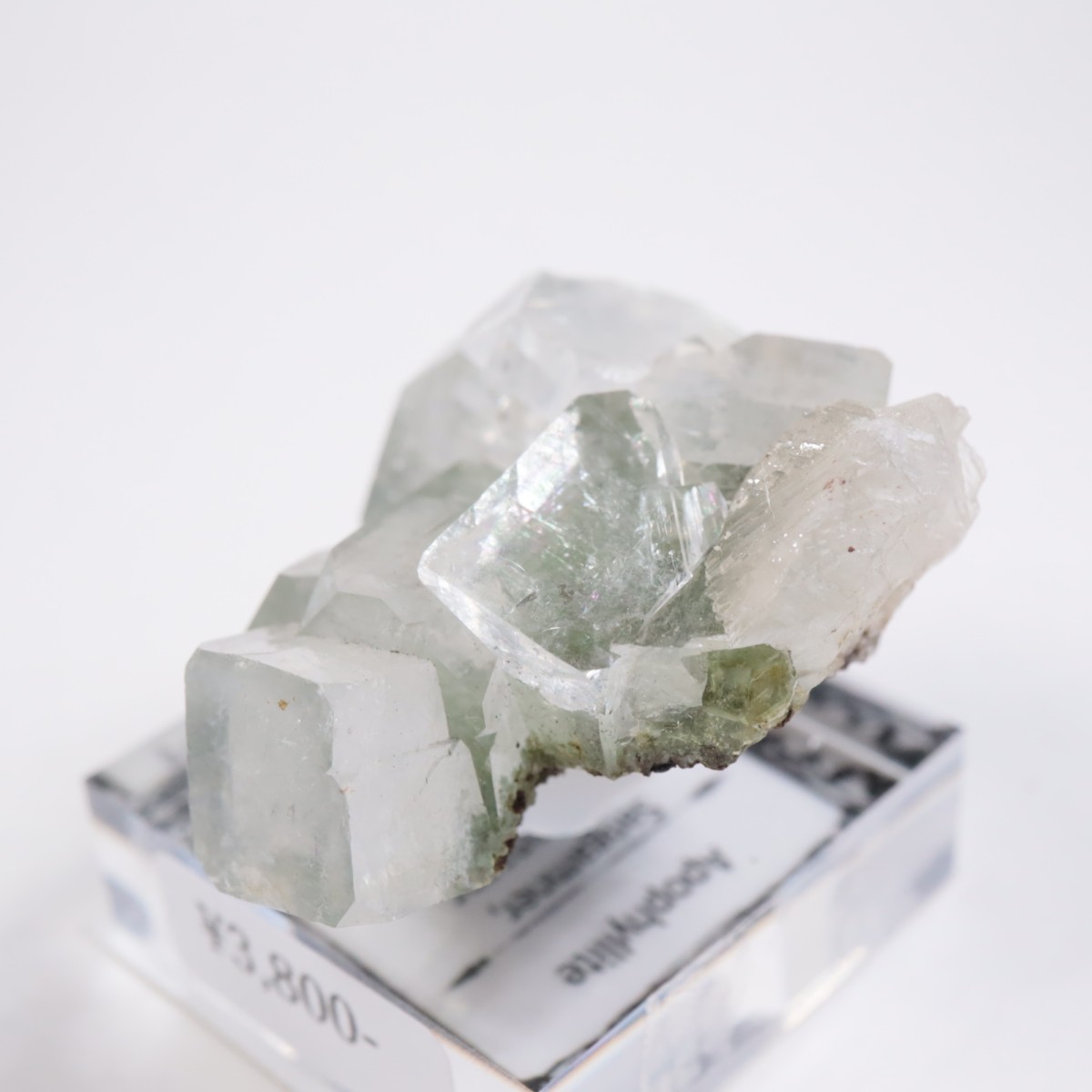 ����ɻ� ���ݥե��饤��