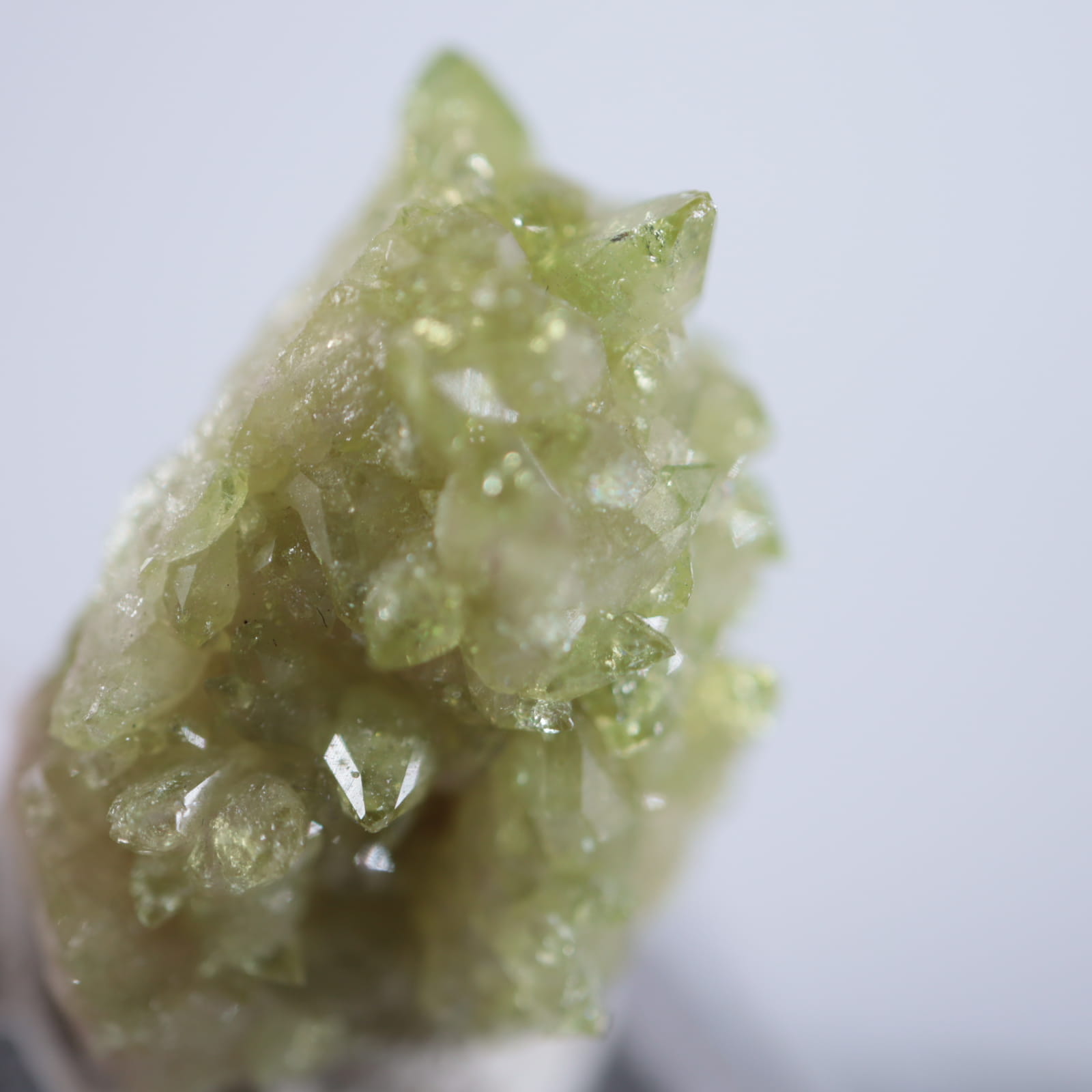 ���ʥ������٥��ӥ��ʥ��ȡʥ٥����С�