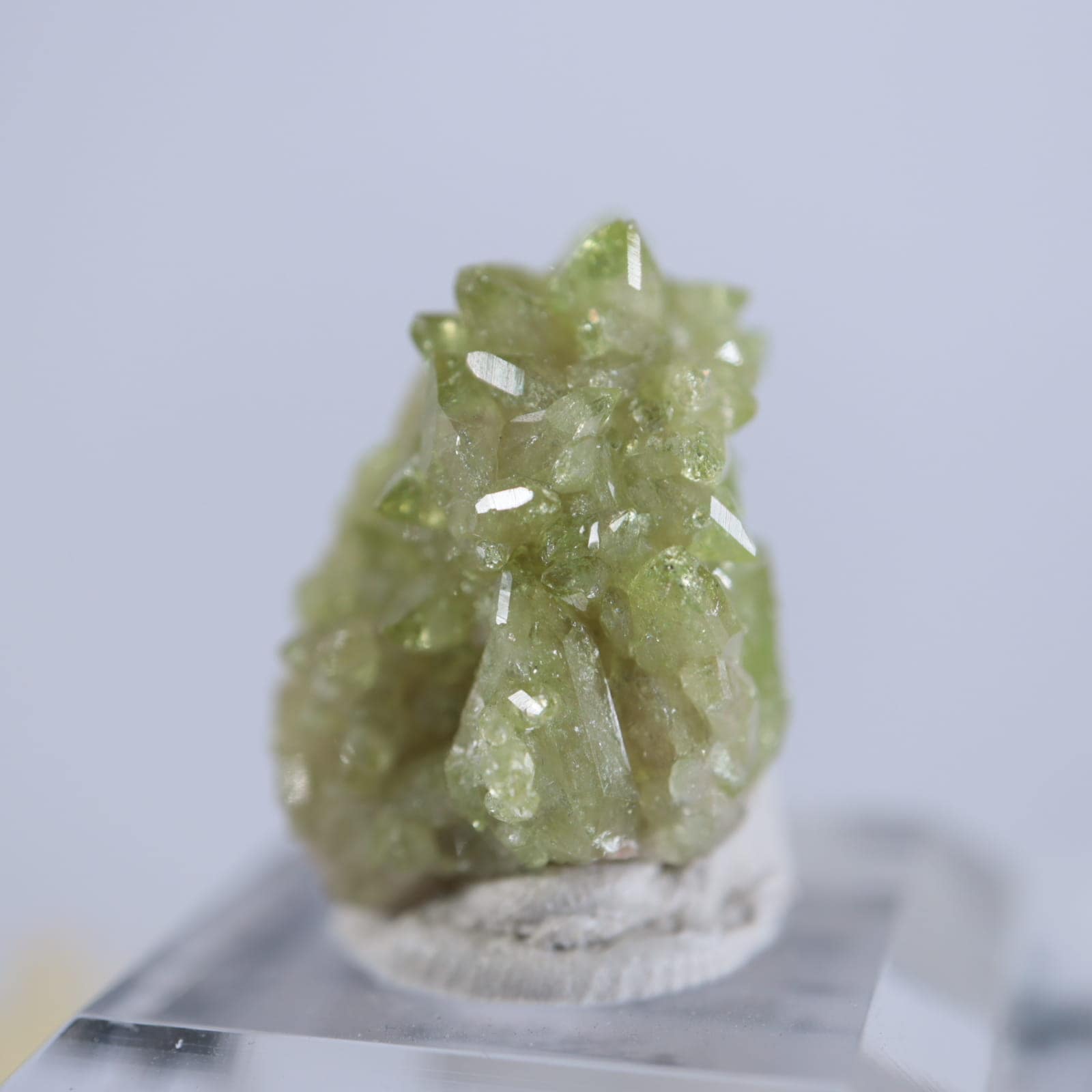 ���ʥ������٥��ӥ��ʥ��ȡʥ٥����С�