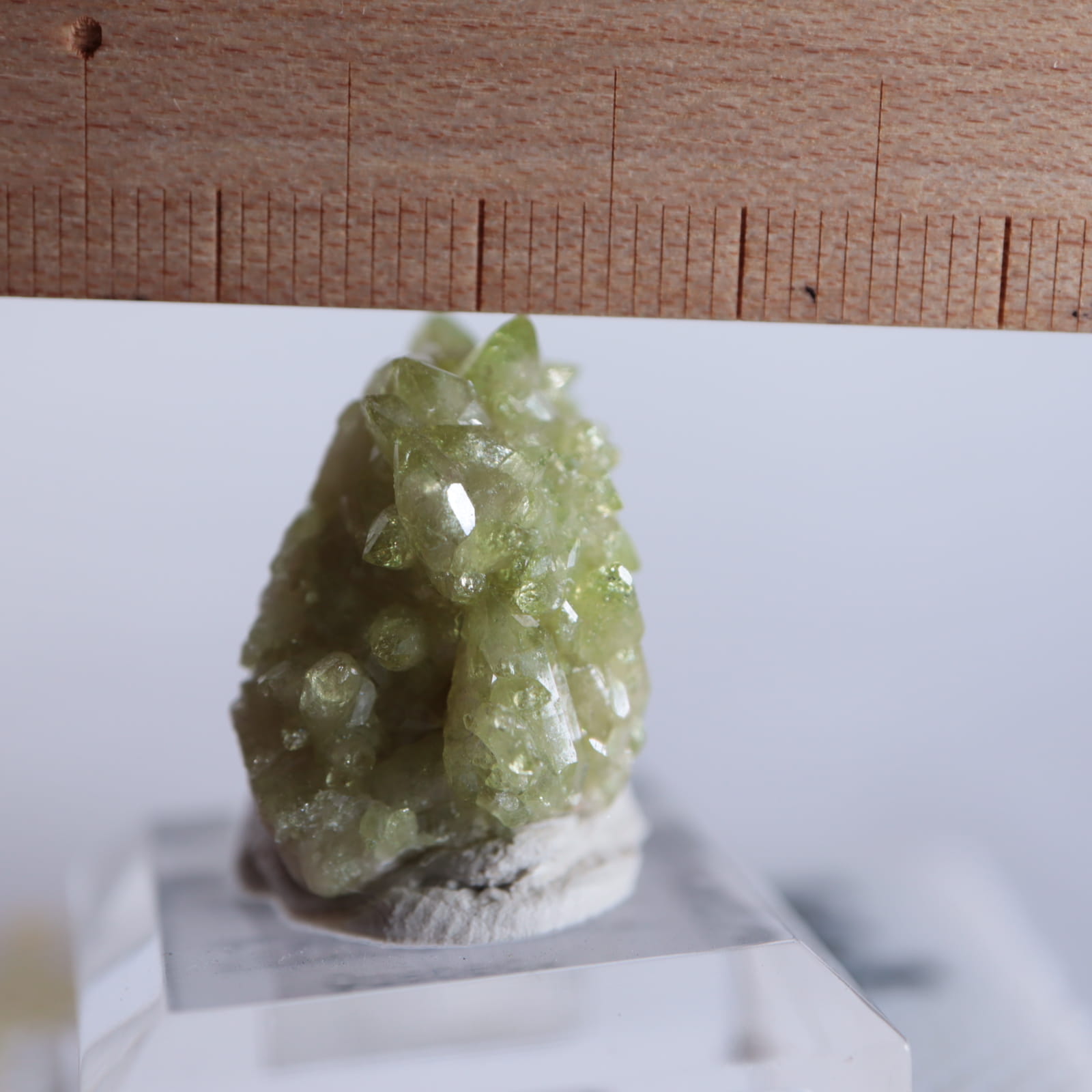 ���ʥ������٥��ӥ��ʥ��ȡʥ٥����С�