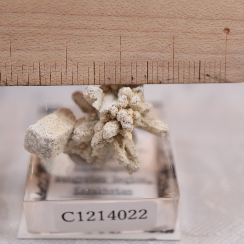 �����ե����󻺡����쥹������