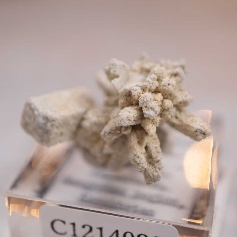 �����ե����󻺡����쥹������