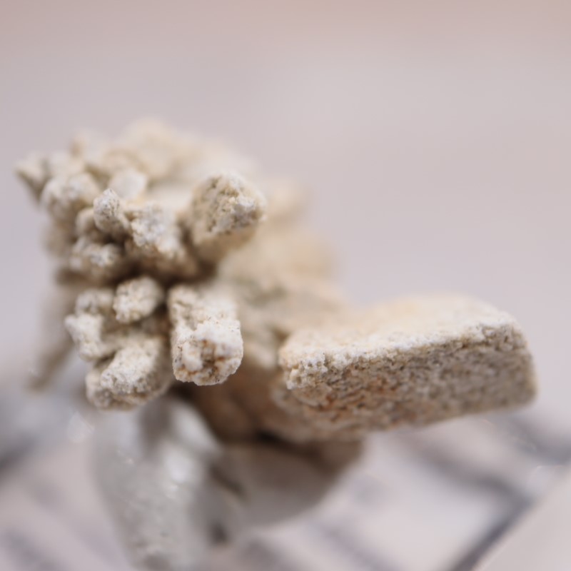 �����ե����󻺡����쥹������