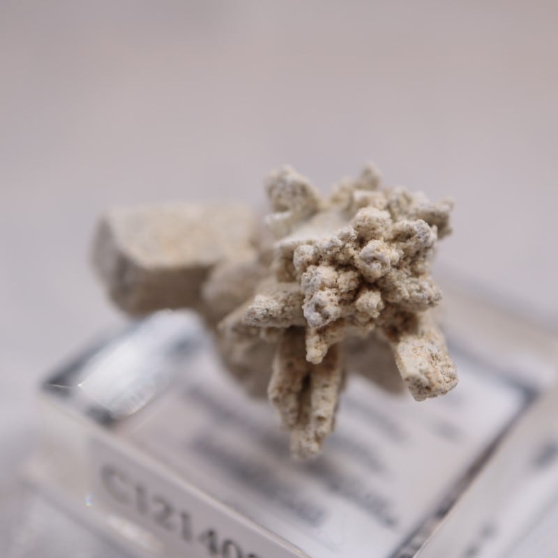 �����ե����󻺡����쥹������