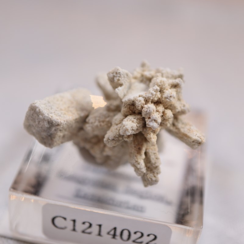 �����ե����󻺡����쥹������