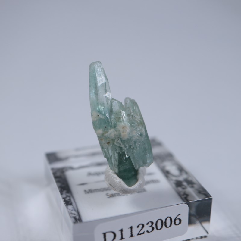 Mimoso do Sul���������ޥ��