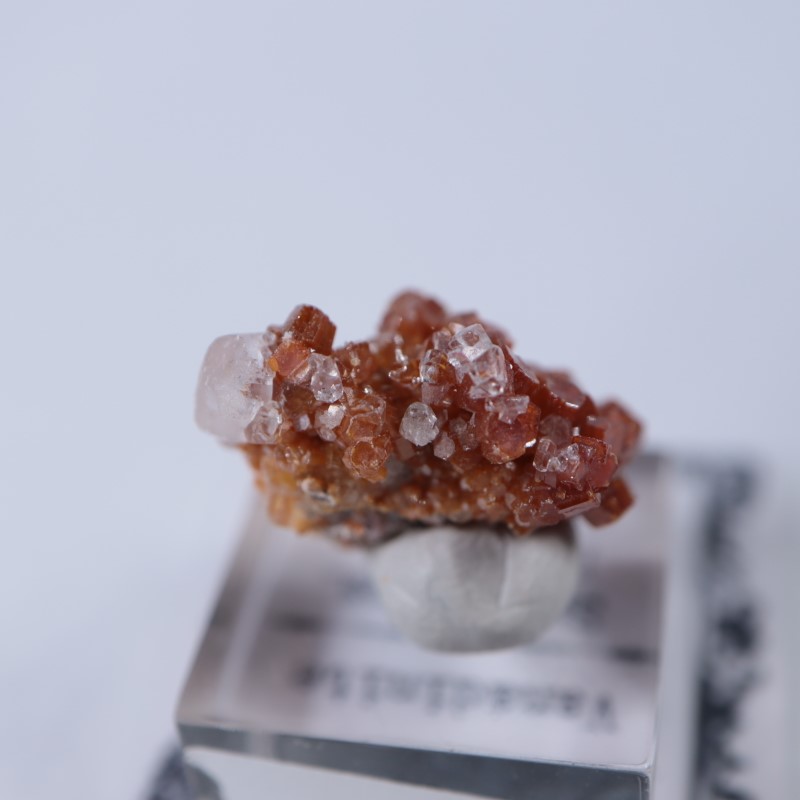 �ᥭ���������Хʥǥ��ʥ��ȡ����륵����