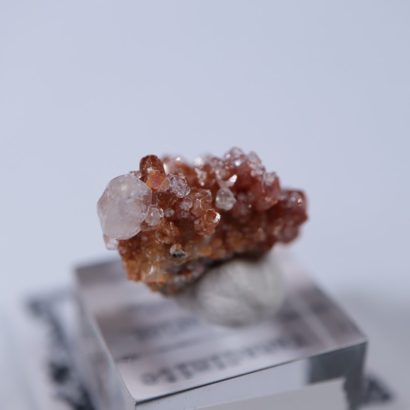 �ᥭ���������Хʥǥ��ʥ��ȡ����륵����