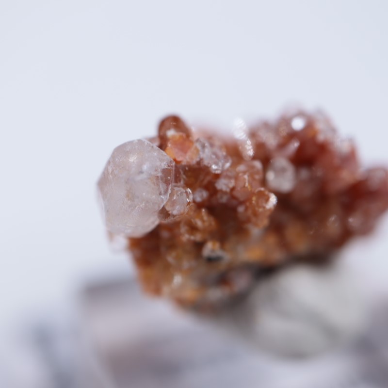 �ᥭ���������Хʥǥ��ʥ��ȡ����륵����