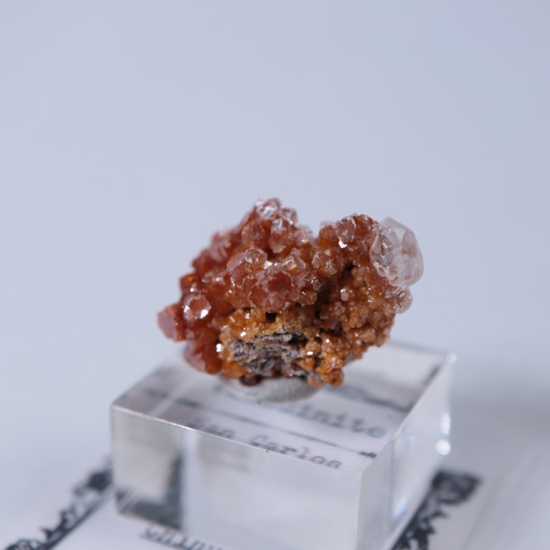 �ᥭ���������Хʥǥ��ʥ��ȡ����륵����