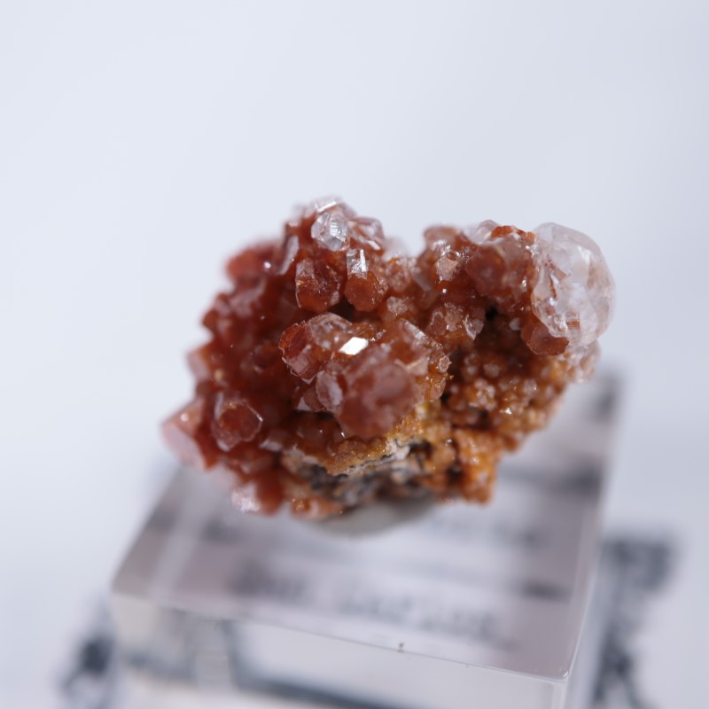 �ᥭ���������Хʥǥ��ʥ��ȡ����륵����