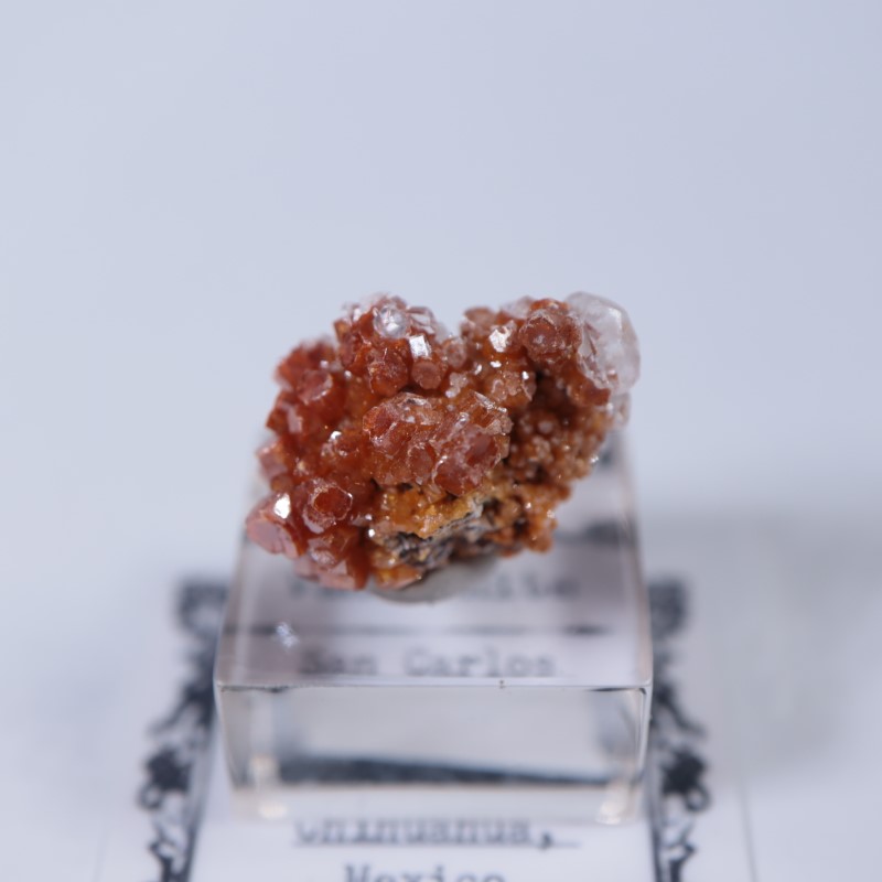 �ᥭ���������Хʥǥ��ʥ��ȡ����륵����