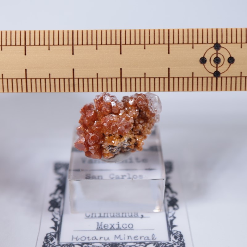 �ᥭ���������Хʥǥ��ʥ��ȡ����륵����