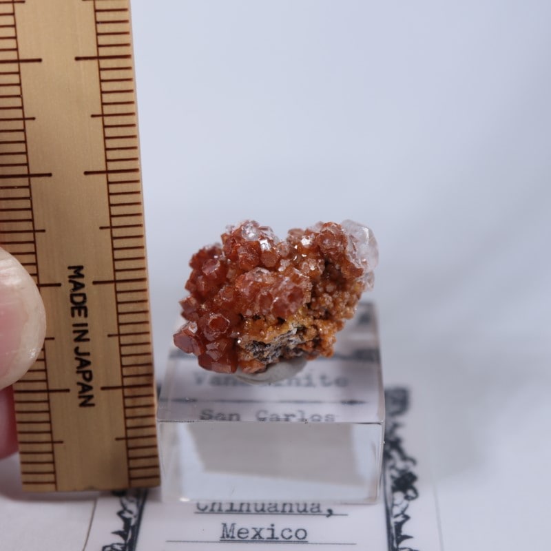 �ᥭ���������Хʥǥ��ʥ��ȡ����륵����