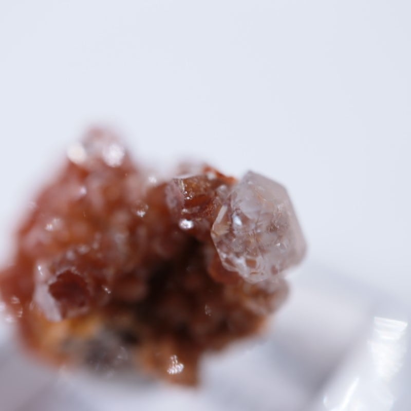 �ᥭ���������Хʥǥ��ʥ��ȡ����륵����