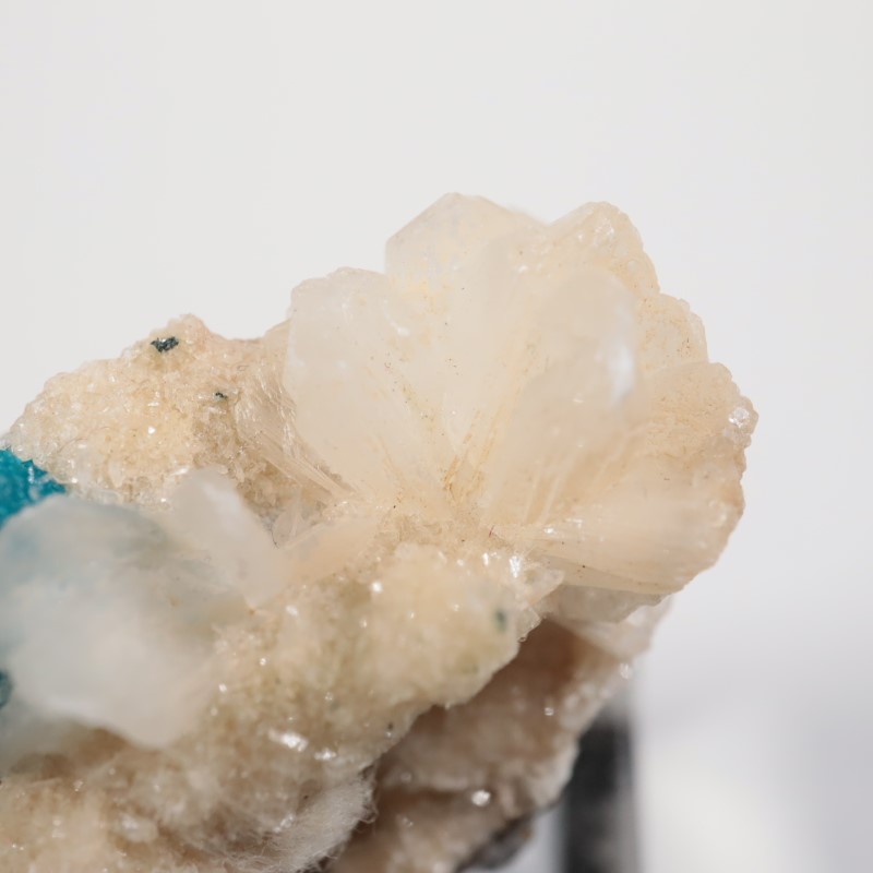 Wagholi�������Х󥵥���