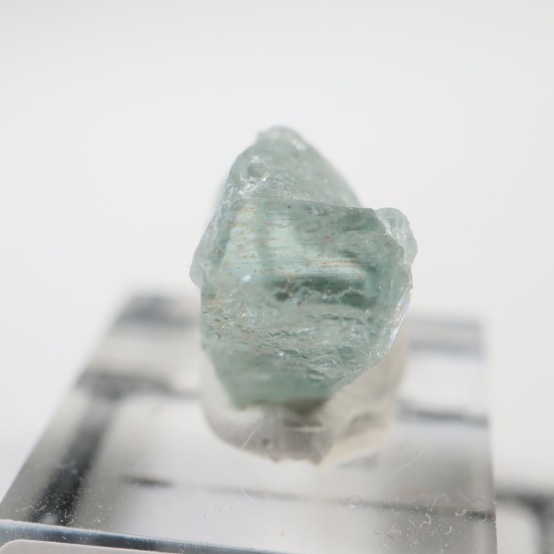 ���󥶥˥�����Ĺ��