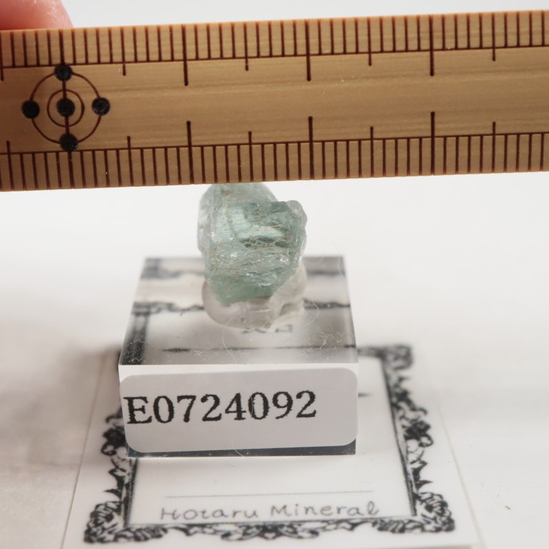 ���󥶥˥�����Ĺ��