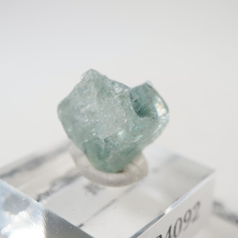 ���󥶥˥�����Ĺ��