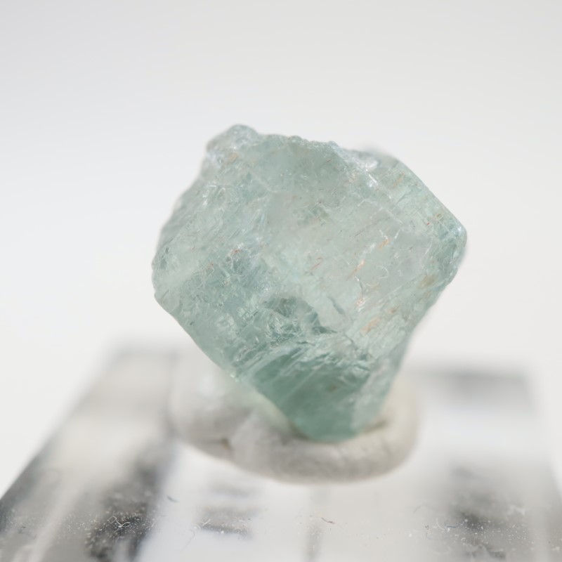 ���󥶥˥�����Ĺ��