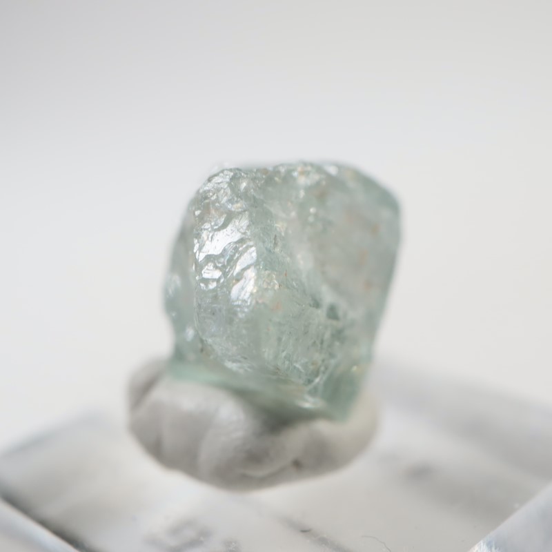 ���󥶥˥�����Ĺ��