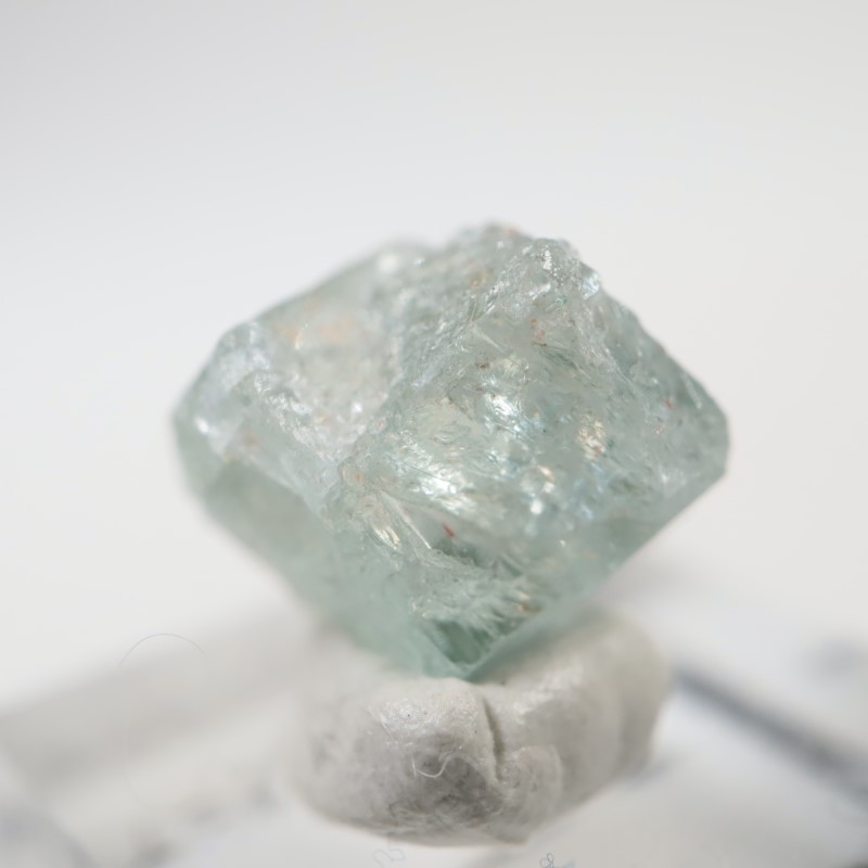 ���󥶥˥�����Ĺ��