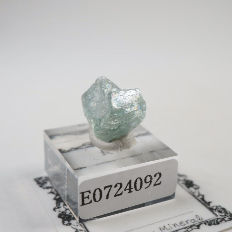 ���󥶥˥�����Ĺ��