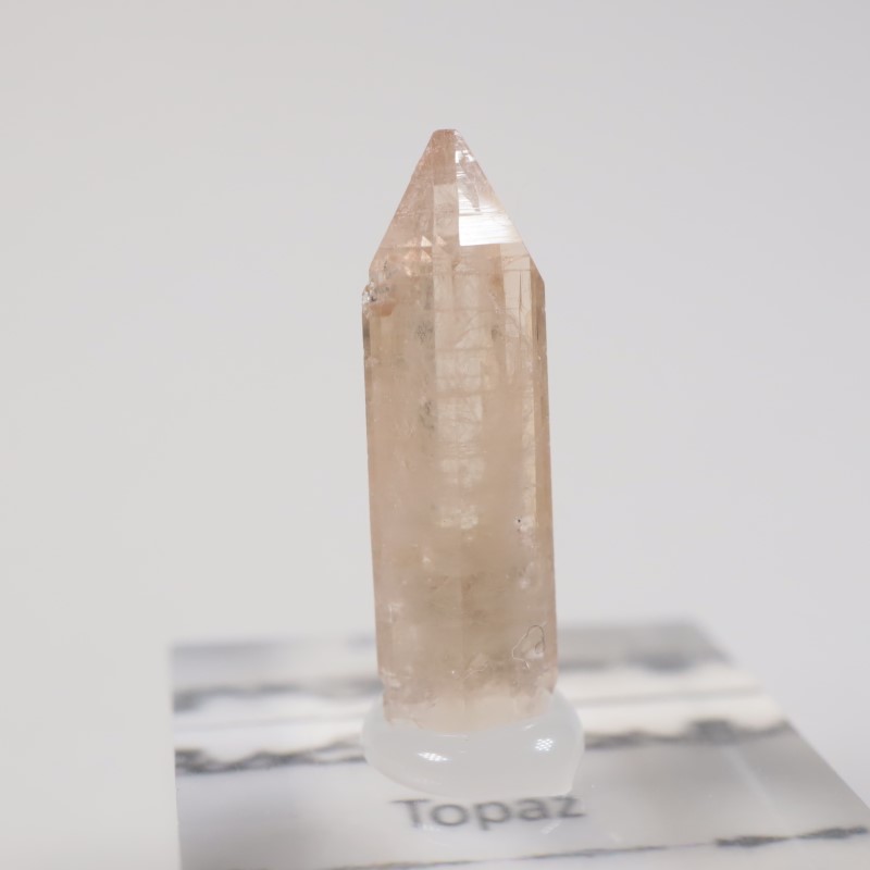 �楿���� �ȥѡ���