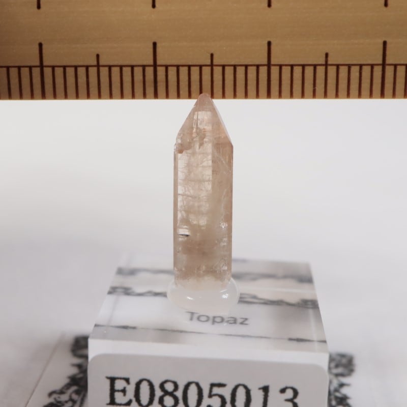 �楿���� �ȥѡ���