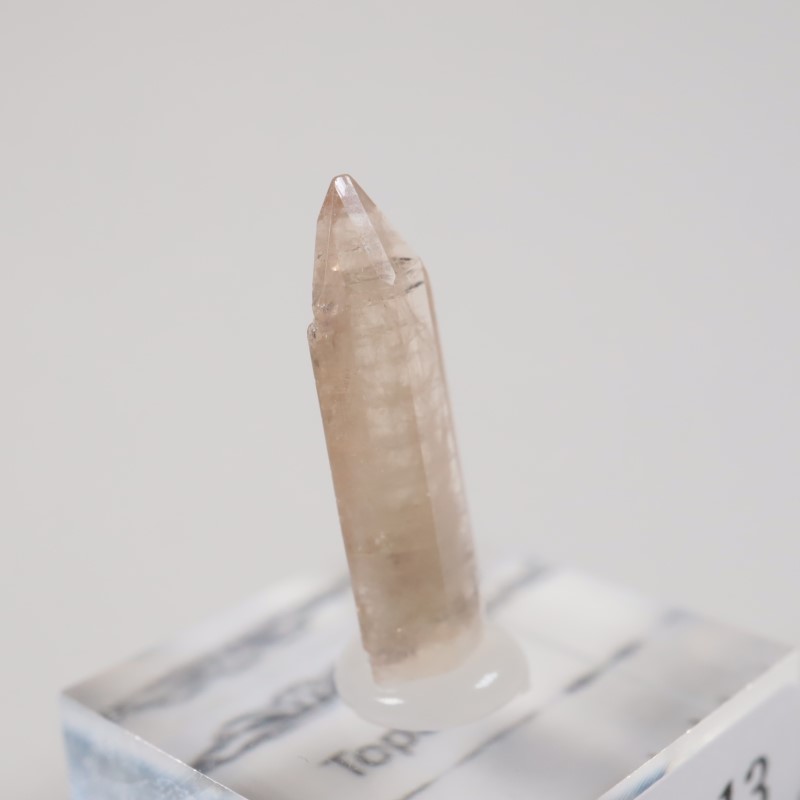 �楿���� �ȥѡ���