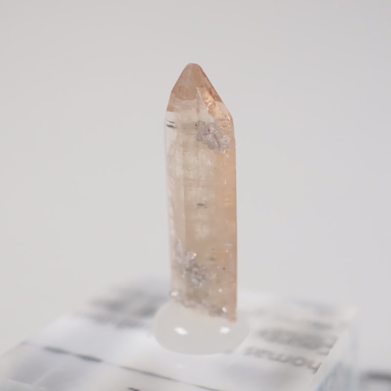 �楿���� �ȥѡ���