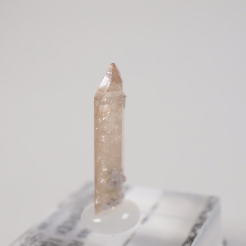 �楿���� �ȥѡ���