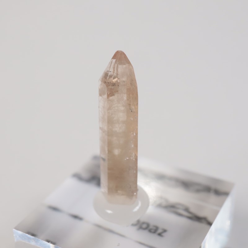 �楿���� �ȥѡ���